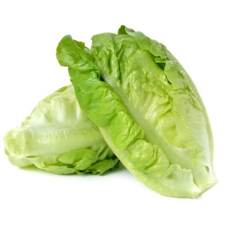 INSALATA ROMANA FRESCA